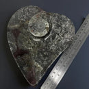 Orthoceras Swirly Heart Shaped Carved Bowl / Dish FB1482 🌼