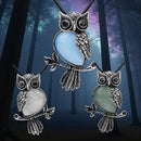 Gemstone Owls on Branch in Assorted Gemstones with cord, Totem Spirit Animal FB3477 🧚‍♀️