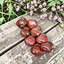 Petrified Wood Heart FB2584 🦋