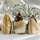 Petrified Wood Tear Drop Polished Free Form FB3023 💜