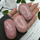 Pink Petrified Wood Palm Stones from Australia FB2769 🌸