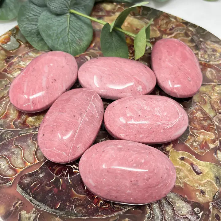 Pink Petrified Wood Palm Stones from Indonesia FB2769 🌸