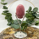 Pink Petrified Wood Palm Stones from Indonesia FB2769 🌸