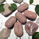 Pink Petrified Wood Palm Stones from Australia FB2769 🌸