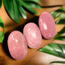 Pink Petrified Wood Palm Stones from Indonesia FB2769 🌸