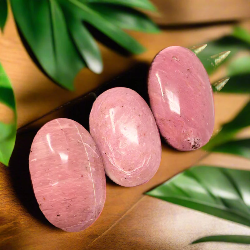 Pink Petrified Wood Palm Stones from Indonesia FB2769 🌸