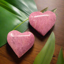 Pink Petrified Wood Heart from Indonesia FB1060 🌸