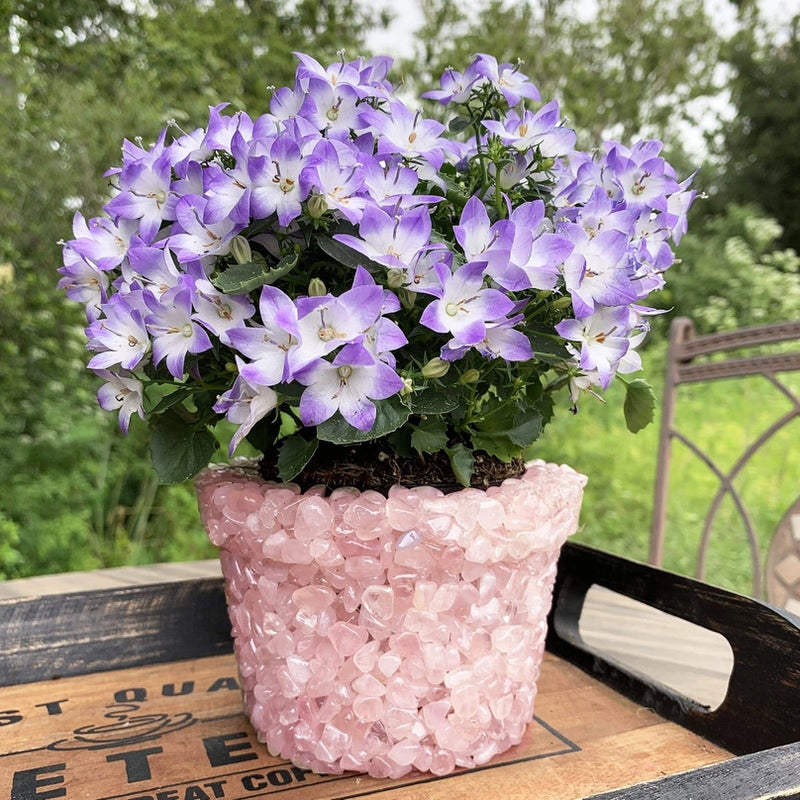 Planters Crafted from Assorted Gemstones FB3445 🌸