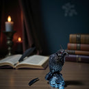 Raven on Skull Finely Detailed Intention Candle FB2865 🐦‍⬛