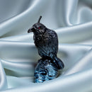 Raven on Skull Finely Detailed Intention Candle FB2865 🐦‍⬛