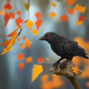 Raven Totem/Spirit Figurine Pair FB1142 🐦‍⬛