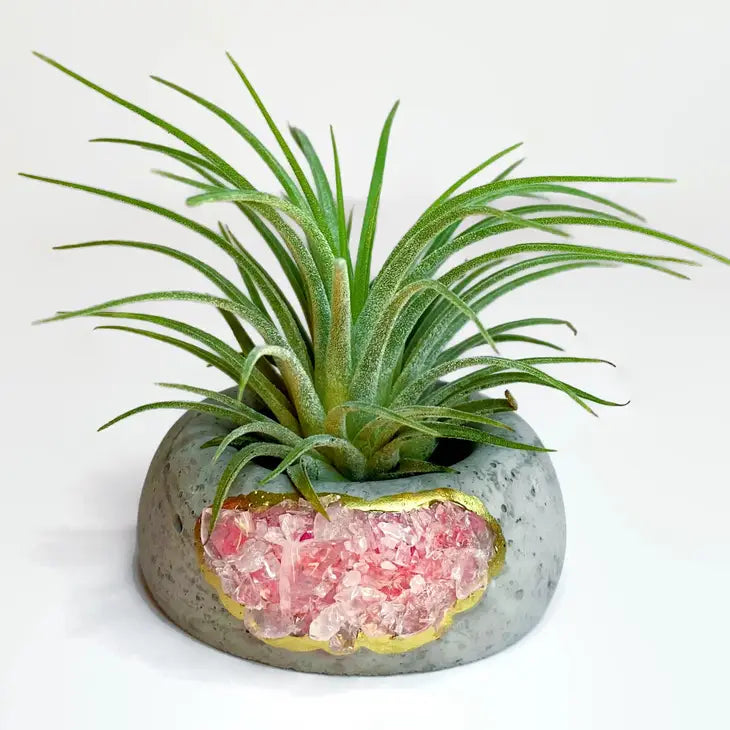 Crystal Air Plant, Small Plant or treasure Holder - Geode Planter Pot FB3190