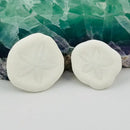 Sand Dollar Shells FB1164 💜🧡💚
