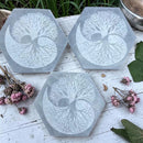 Selenite Hexagon Carving with Tree of Life Etching FB3138 💛