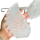 Selenite Angel Wings on Stand from Morocco 💜🌸💜 FB1366
