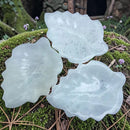 Selenite Leaf Dish, cleansing, clearing FB3138 💛