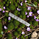 Selenite Chakra Stick Base / Incense Holder for crystals and display FB1495 💛💙💜🧡