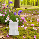 Selenite Hour Glass Sphere Stand 💗 FB1926