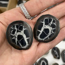 Septarian Dragon Stone Polished Nodule Pair for balance and tranquility FB1361 💛