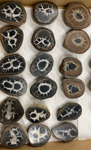 Septarian Dragon Stone Polished Nodule Pair for balance and tranquility FB1361 💛