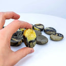Septarian Thick Oval Worry Stone FB2720 🧡
