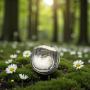 Shell Marble (aka Shell Stone Jasper) Sphere 54mm 🐚 CD-10234