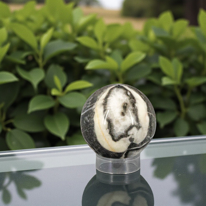 Shell Marble (aka Shell Stone Jasper) Sphere 54mm 🐚 CD-10234