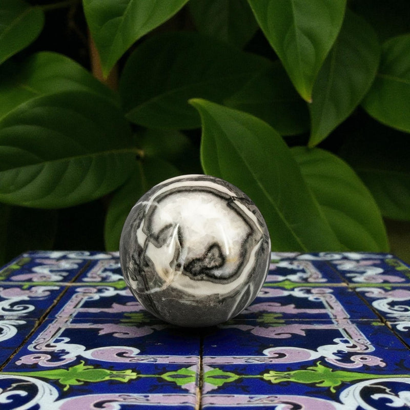 Shell Marble (aka Shell Stone Jasper) Sphere 54mm 🐚 CD-10234