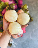 Gold Edged Naturel Shell Compact FB2062 🍃