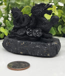 Shungite Dragon with Coins, wisdom, grounding FB2462 🧡