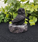 Shungite Owl & Owlet on Base, grounding FB1346 🦉