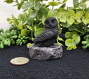 Shungite Owl & Owlet on Base, grounding FB1346 🦉