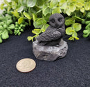 Shungite Owl & Owlet on Base, grounding FB1346 🦉