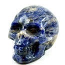 Sodalite Skull, Excellent Quality for communication, truth, throat chakra FB2571 🔮🪶🔮
