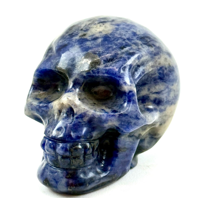 Sodalite Skull, Excellent Quality for communication, truth, throat chakra FB2571 🔮🪶🔮