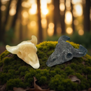 Steer Skulls with Horns, Orange Calcite or Yooperlite FB2313 🧡