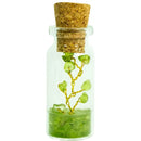 Tree of Life in a Bottle, Assorted Gemstones FB2305 🍃🪷🍃