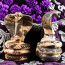 Zebra Jasper Coiled Cobra Carving Figurine Animal Totem FB2243 🐍