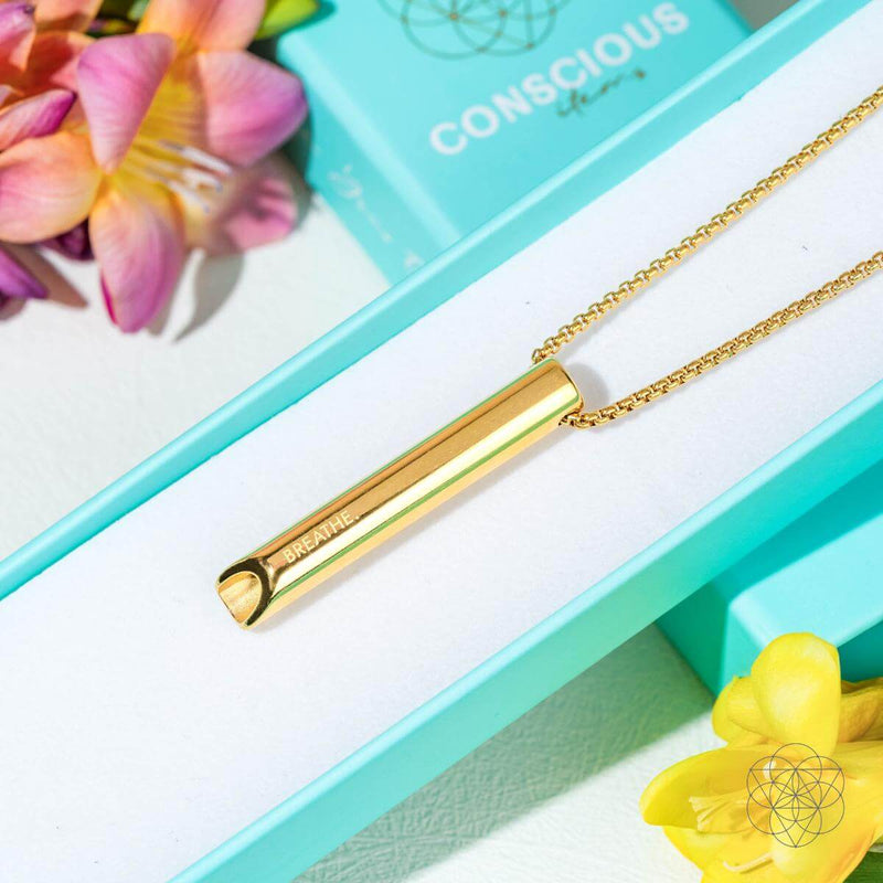 Mindfulness Breathing & Cycle Breaker Necklaces CI530B 🦜