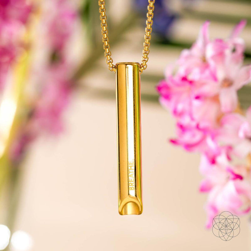 Mindfulness Breathing & Cycle Breaker Necklaces CI530B 🦜