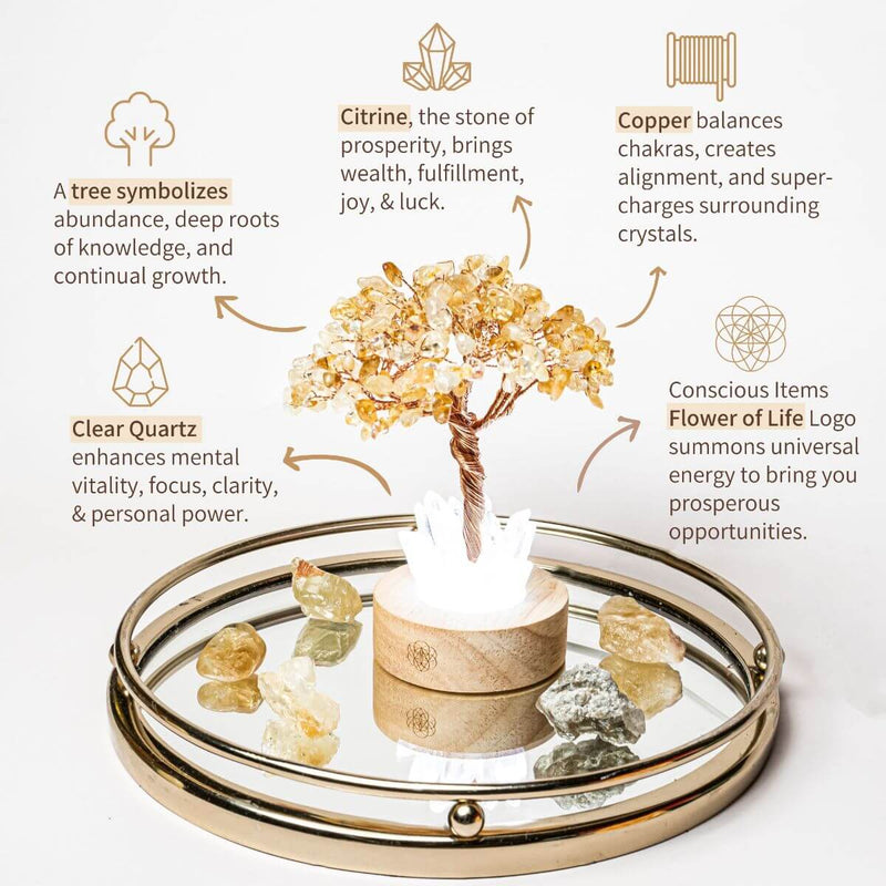 Citrine Tree & Clear Quartz Points - Golden Lamp of Wealth CI470 🌟