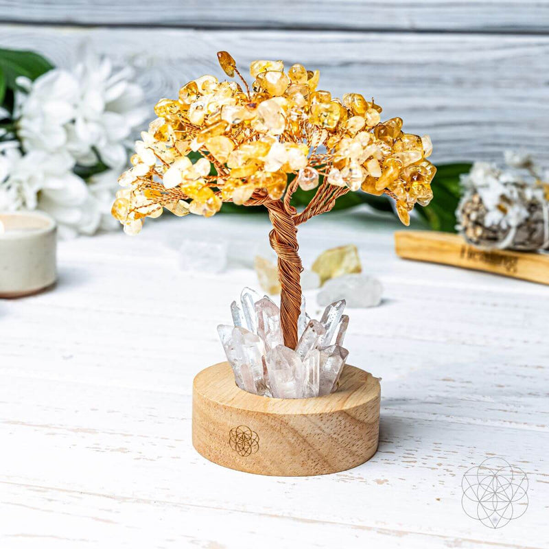 Citrine Tree & Clear Quartz Points - Golden Lamp of Wealth CI470 🌟
