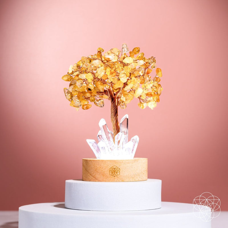Citrine Tree & Clear Quartz Points - Golden Lamp of Wealth CI470 🌟
