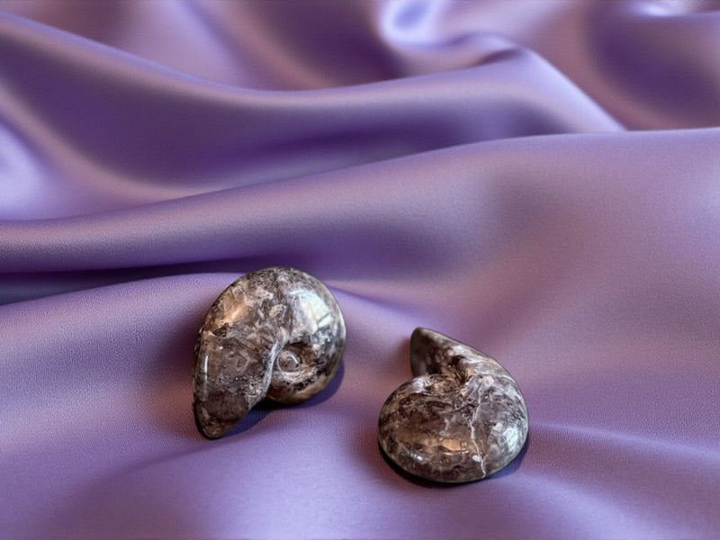 Larvikite Carved Shell, beautiful silvery flash FB2713 🐚