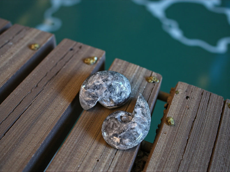 Larvikite Carved Shell, beautiful silvery flash FB2713 🐚