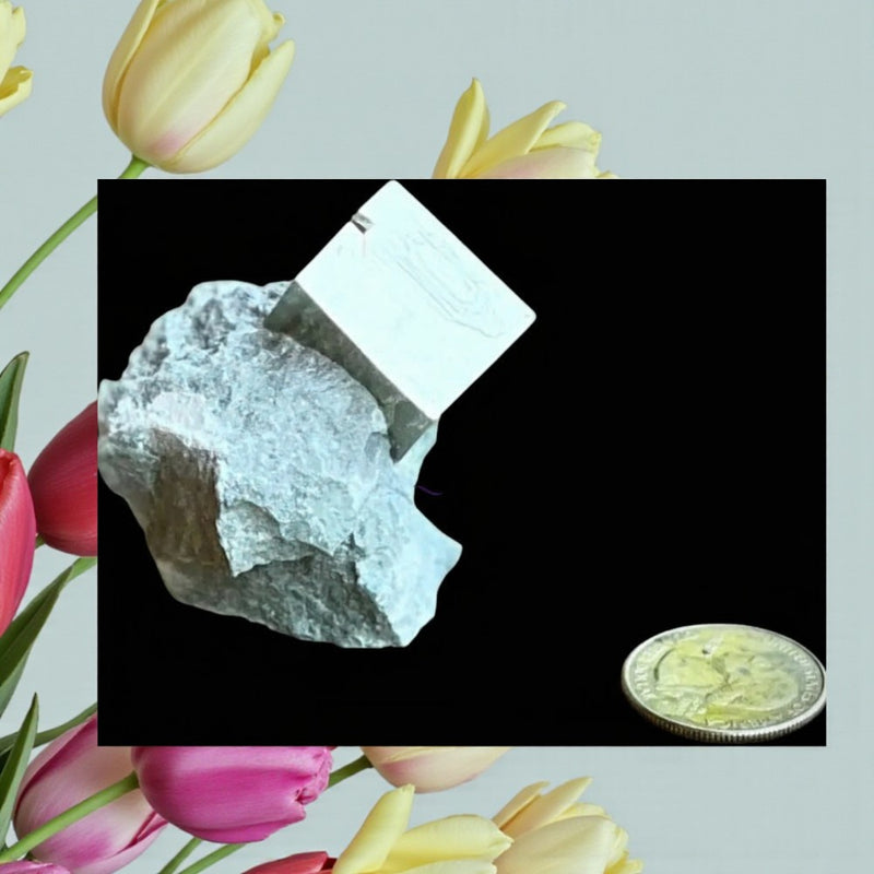 Natural Pyrite Cube in Matrix 🌼 6894140642