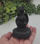 Shungite Dragon in Egg on Base, Detailed Carving, grounding & protection stone FB3448 🐉