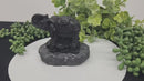 Elephant Totem / Spirit Animal Carved from Shungite  FB1931 🐘