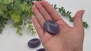Lepidolite Worry Stones FB3036 💛