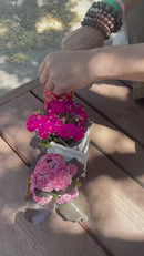 Brass Singing Bowl from Nepal,  Mini or Small Set, FB3385